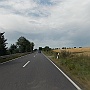 Bild (89)